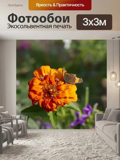 Фотообои Цветок бабочка