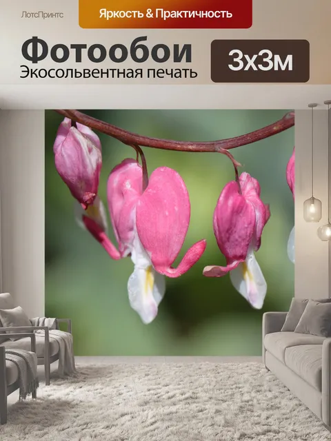 Фотообои Кровоточащее сердце