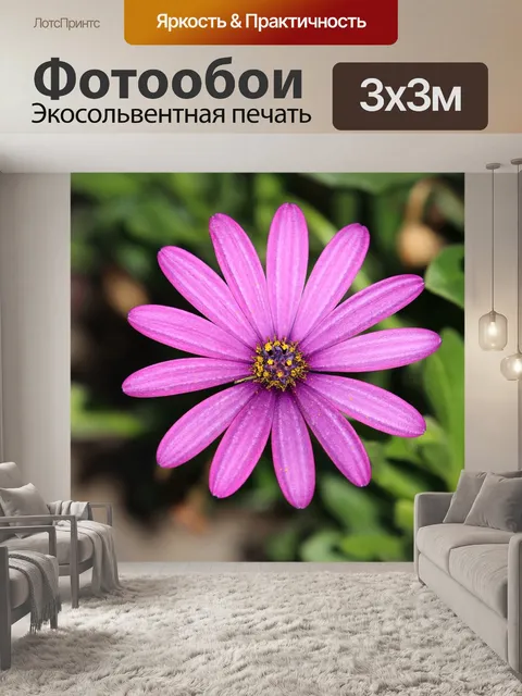 Фотообои Цветок