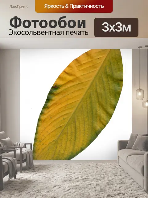 Фотообои желтый лист