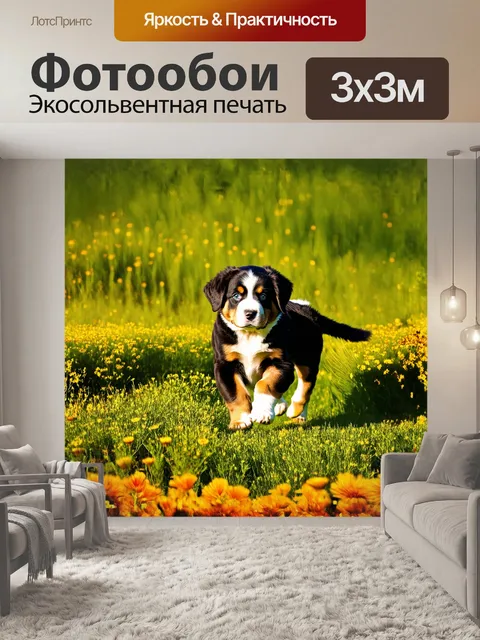 Фотообои пухлый щенок бернского зенненхунда