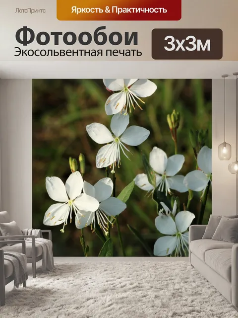 Фотообои Белая Гуара Цветы крупным планом