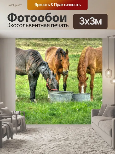 Фотообои Лошади