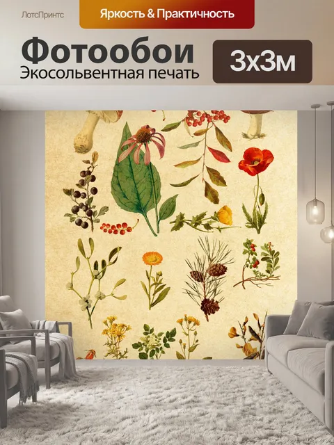 Фотообои Старинные ботанические растения эфемеры