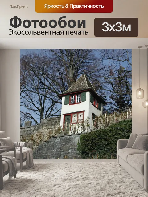 Фотообои Рэппер