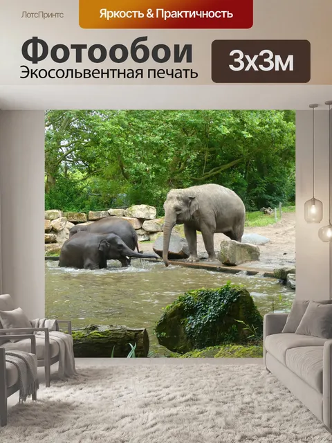 Фотообои Слон