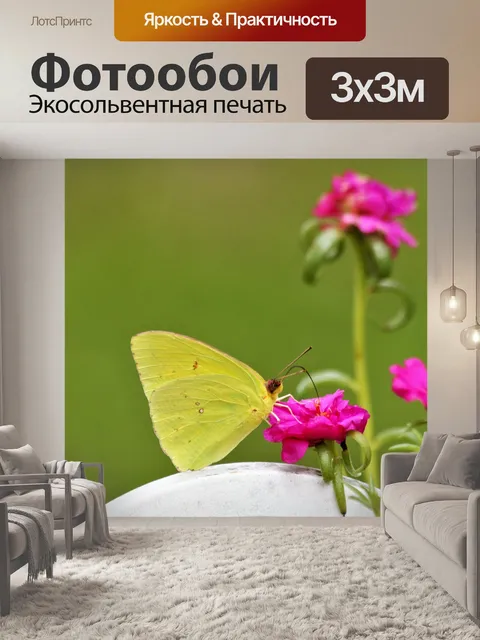 Фотообои Желтая бабочка на розовом цвете