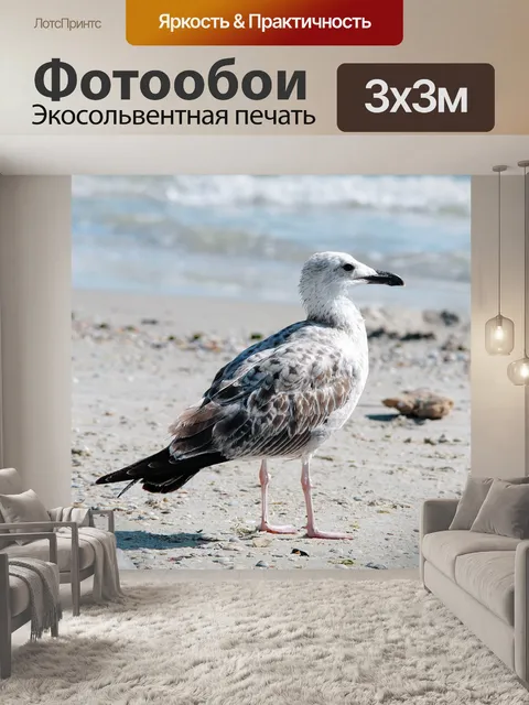 Фотообои Sea