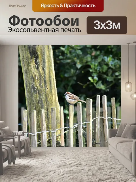Фотообои Домовый воробей
