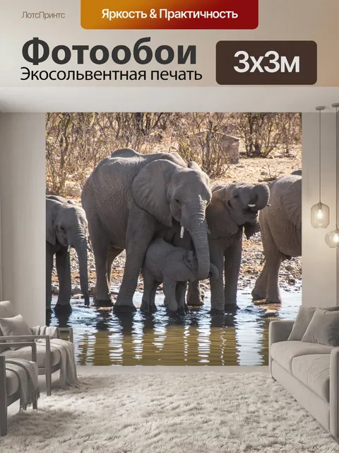 Фотообои Намибия
