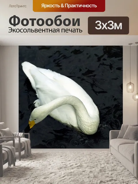 Фотообои Белый лебедь