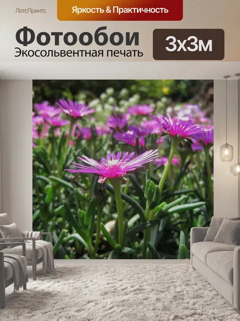 Фотообои розовые vygies или mesem