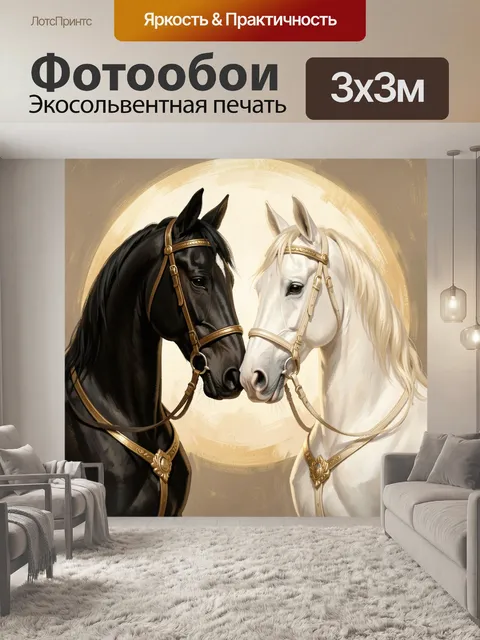 Фотообои Черный и белый жеребцы