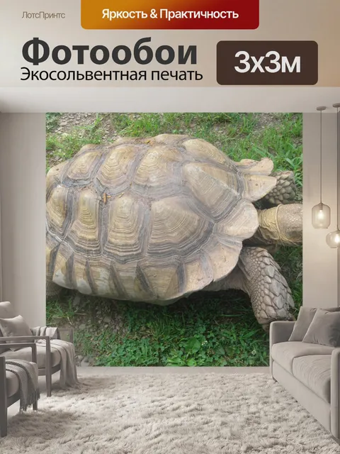 Фотообои Черепаха