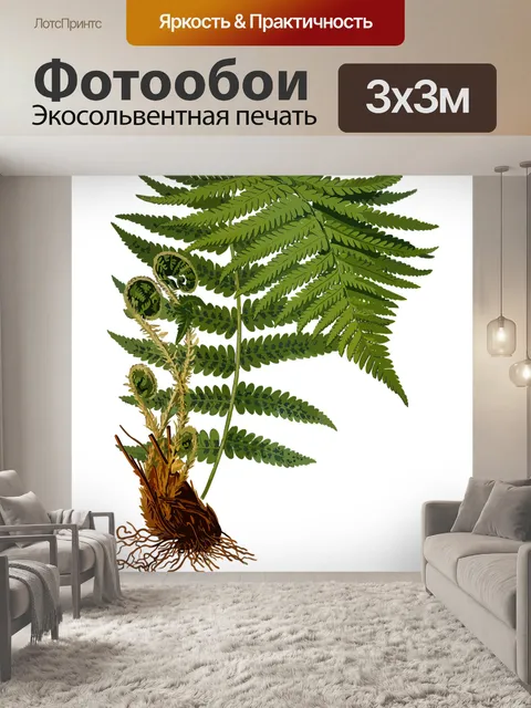 Фотообои Филиал