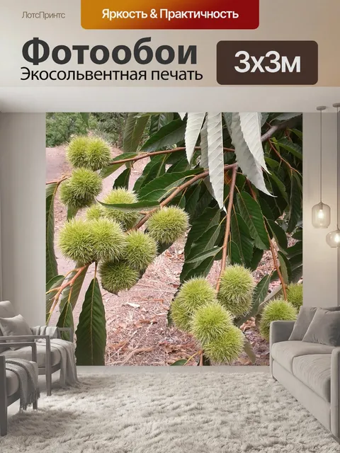 Фотообои Дерево
