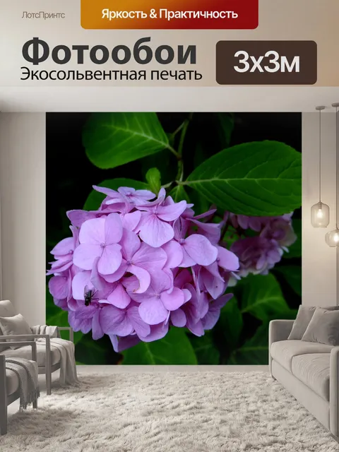 Фотообои Гортензия
