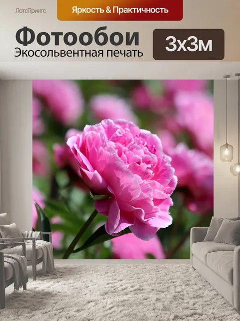 Фотообои Розовый пион