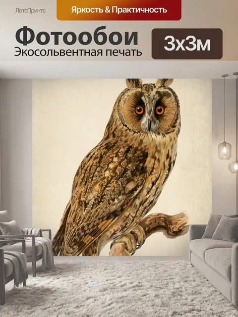 Фотообои Винтажная сова