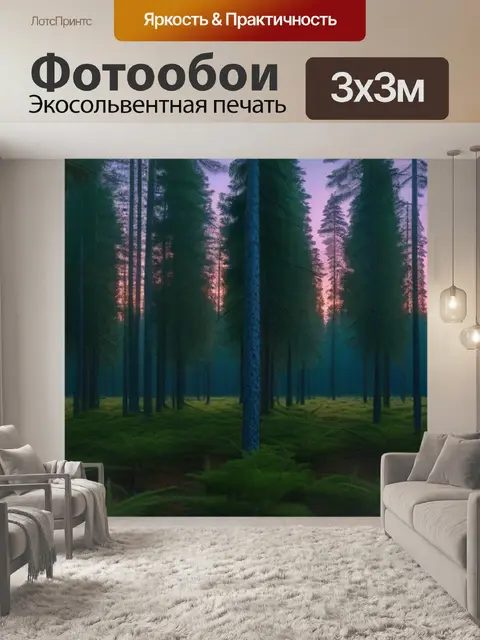 Фотообои закат в еловом лесу