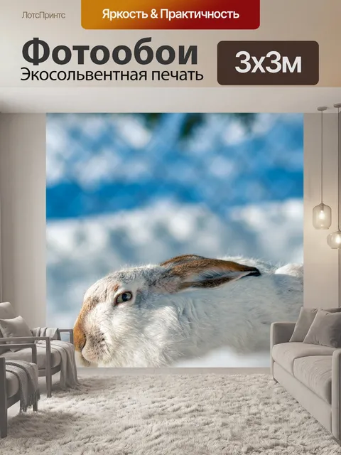 Фотообои Кролик