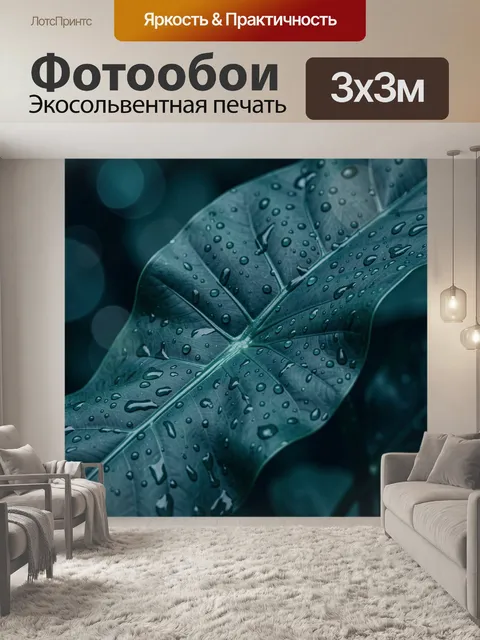 Фотообои Лист монстеры с каплями дождя