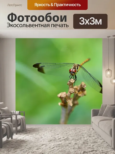 Фотообои Природа