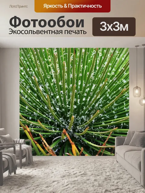 Фотообои агава сочные