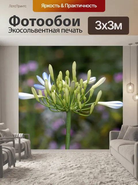 Фотообои Опушка леса