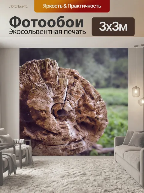 Фотообои Ствол дерева