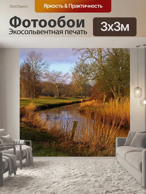 Фотообои Ходить
