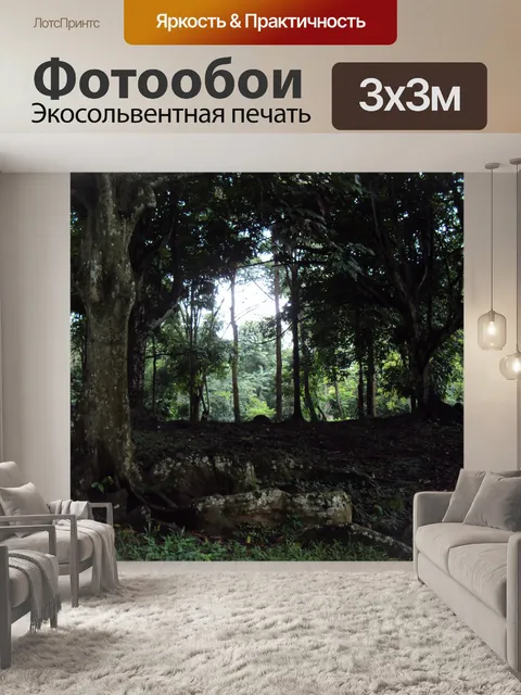 Фотообои Темный лес