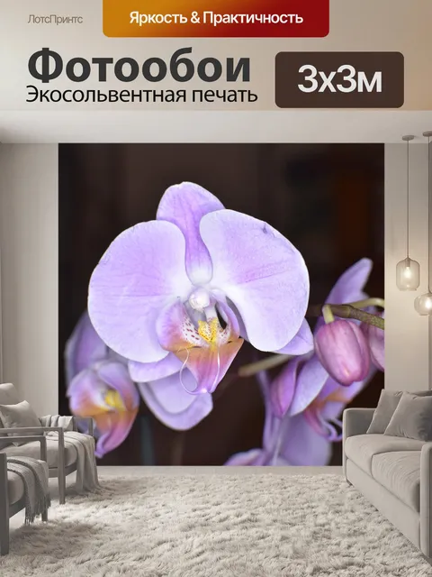 Фотообои Орхидеи