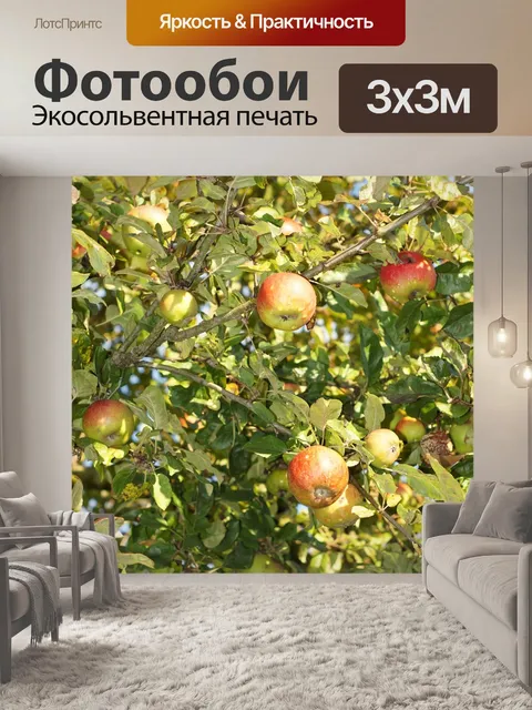 Фотообои Яблоня