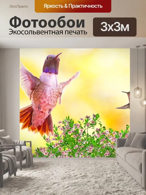 Фотообои Колибри