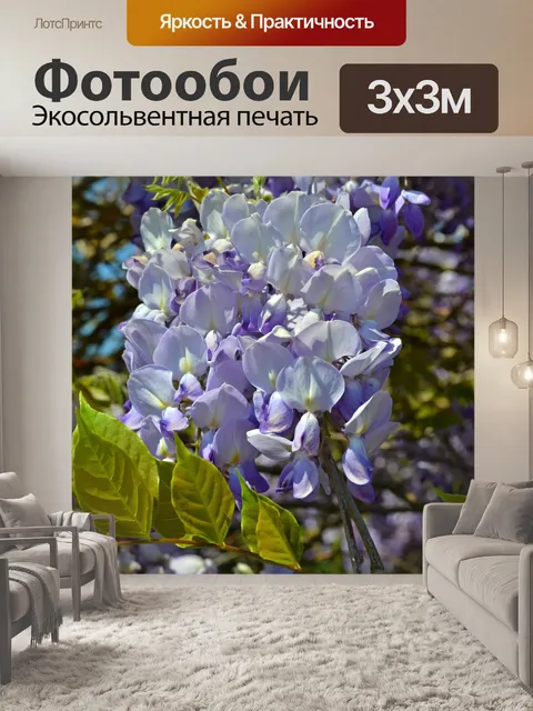 Фотообои Синий дождь