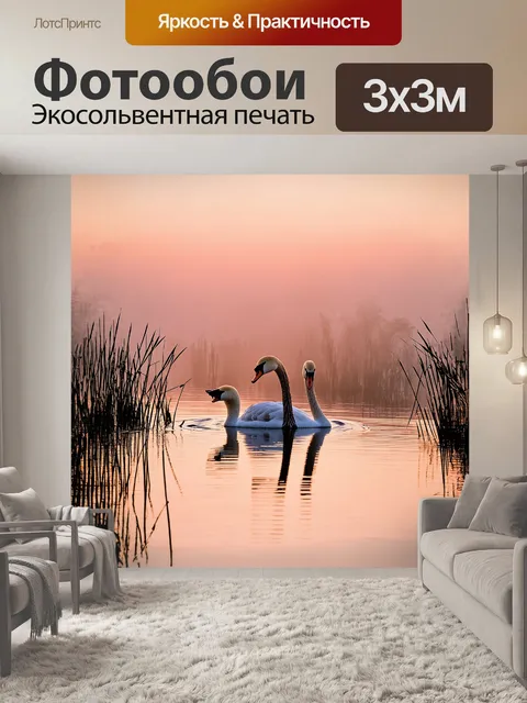 Фотообои немой лебедь, спокойно плывущий по зеркально-гладкой поверхности озера, окруженный туманным рассветным небом…