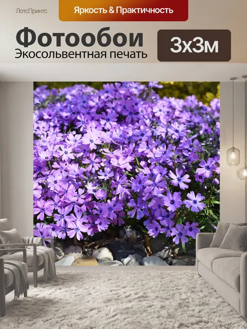 Фотообои Флокс