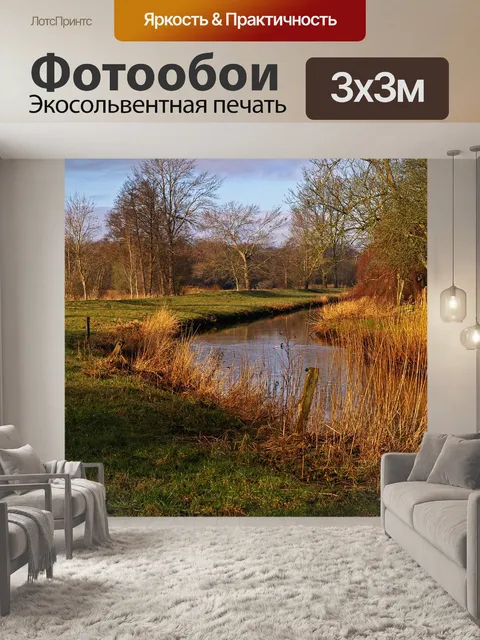 Фотообои Ходить