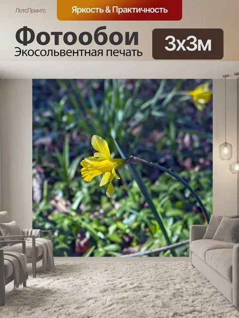 Фотообои Озарк арканзас нарциссы 2019