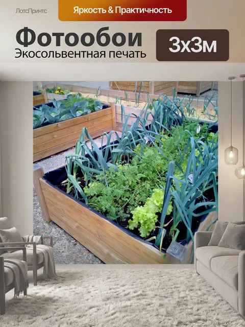 Фотообои Фруктовый сад