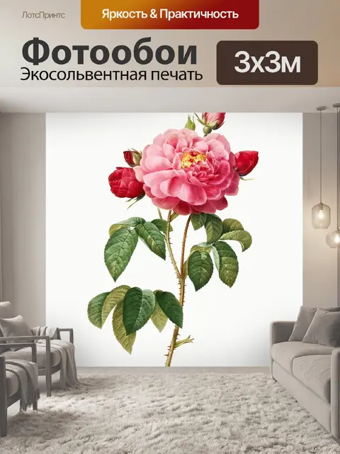 Фотообои Роза цветок старинная картина