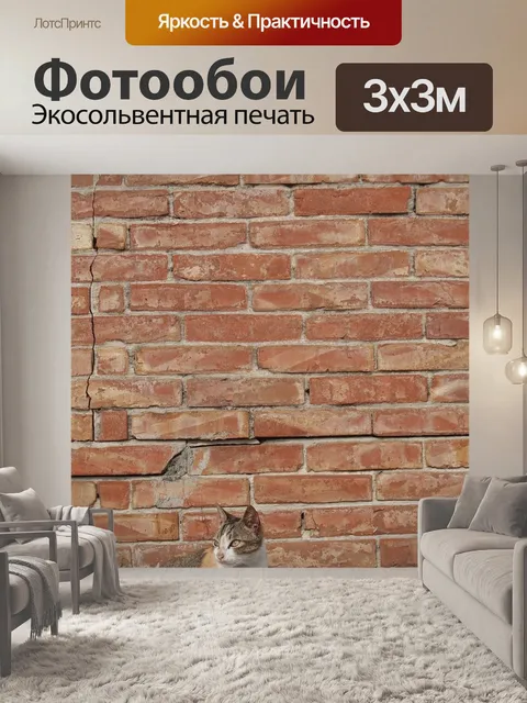 Фотообои Кошка