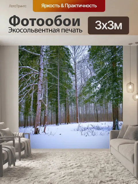 Фотообои зимний лес, где ветры создают музыку, колебля ветви деревьев и растопляя снег