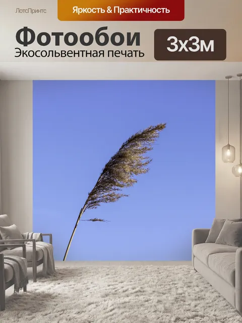 Фотообои Рид