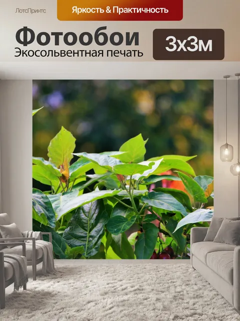 Фотообои свет на стволах листьев томата