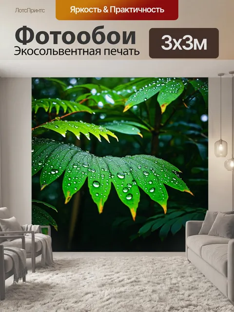 Фотообои утро, дождевой лес, где капли воды стекают по зелёным листьям и мелодично звучат, создавая умиротворяющую…
