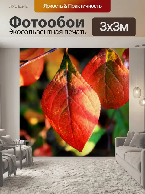 Фотообои потрясающий красный лист