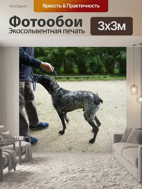 Фотообои Немецкая порода собак