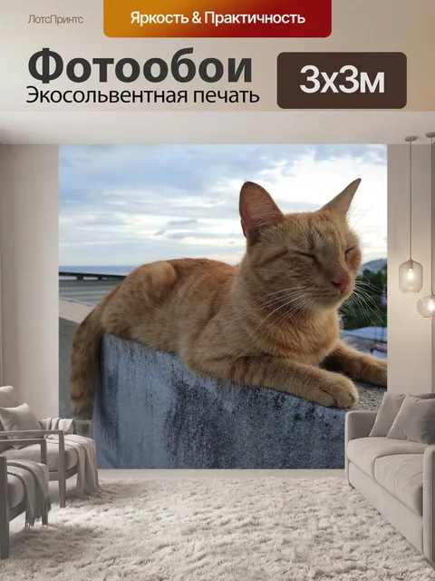 Фотообои Кот